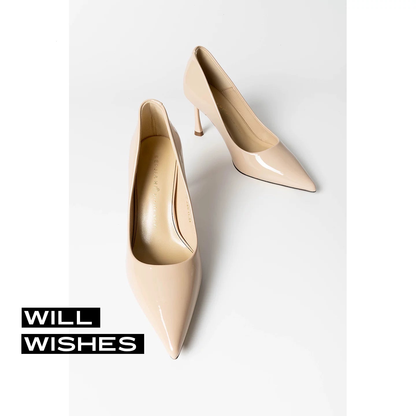 Wang Ding Control Queen Stiletto Pointed Toe Single Shoes