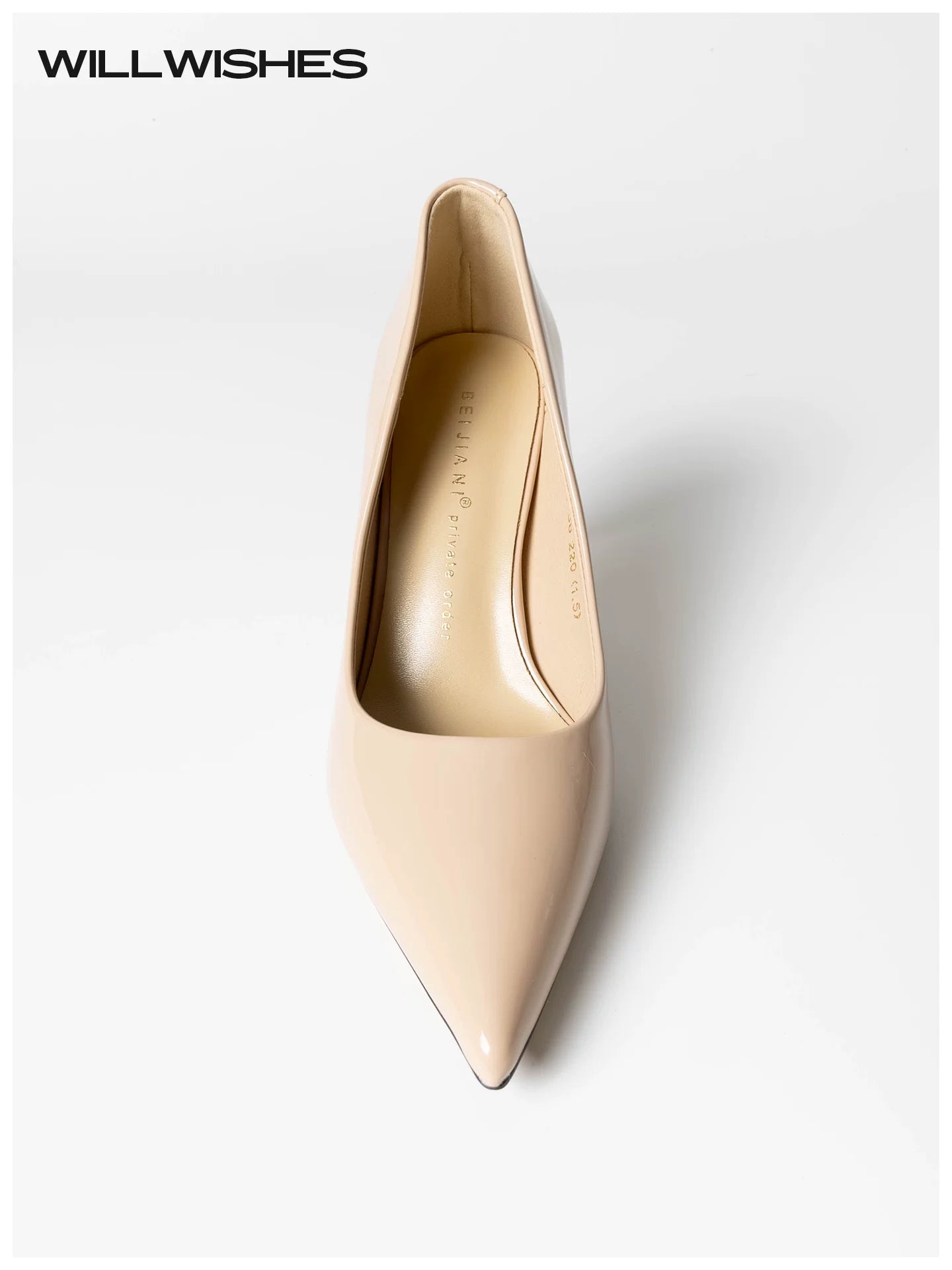 Wang Ding Control Queen Stiletto Pointed Toe Single Shoes