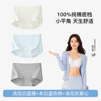 SecretWorld Cute Antibacterial Seamless Panties