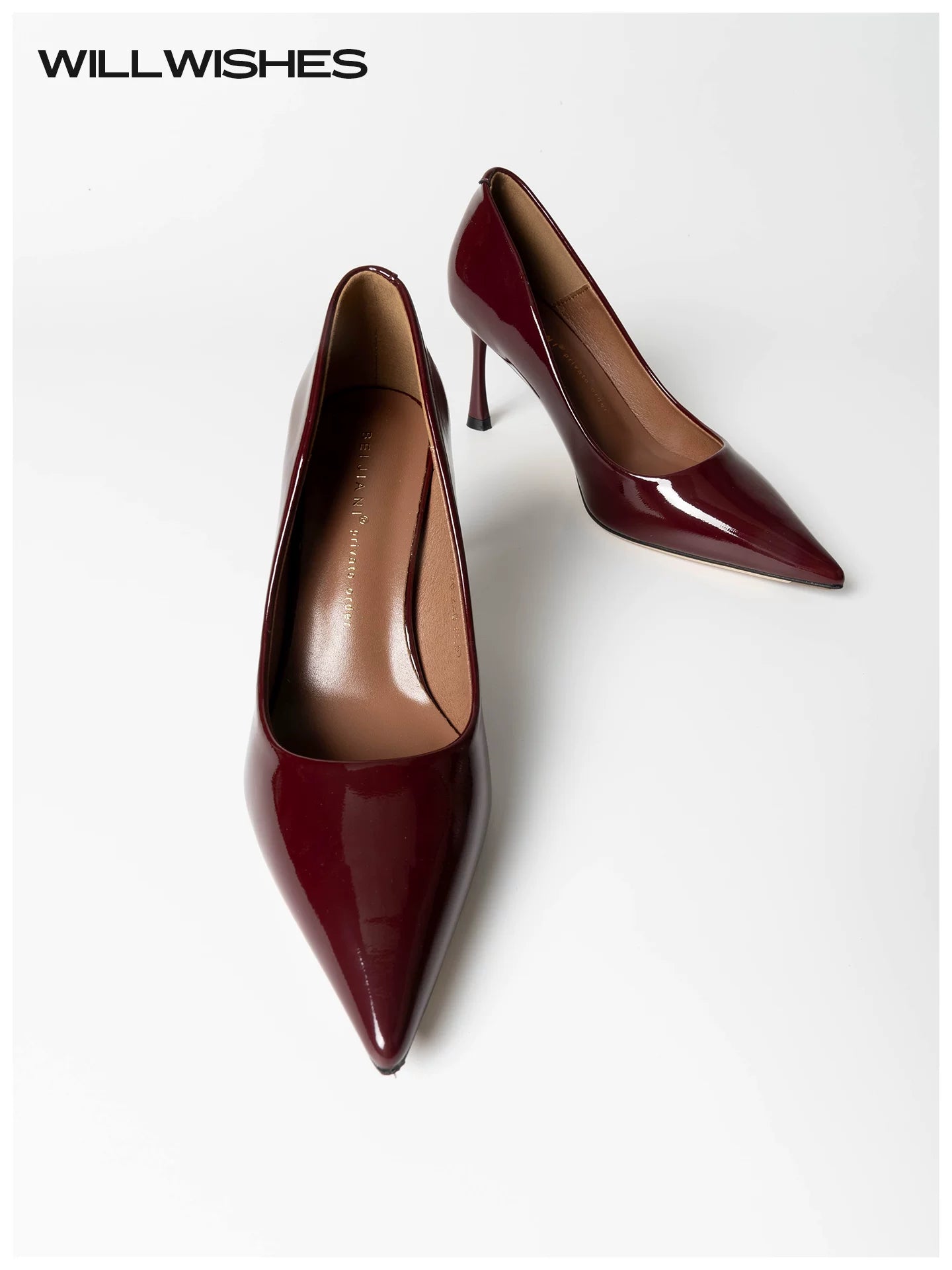 Wang Ding Control Queen Stiletto Pointed Toe Single Shoes